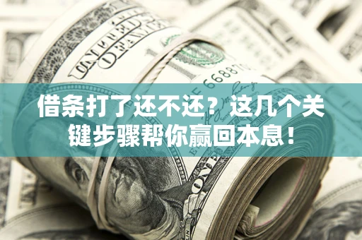 济南借条打了还不还？这几个关键步骤帮你赢回本息！